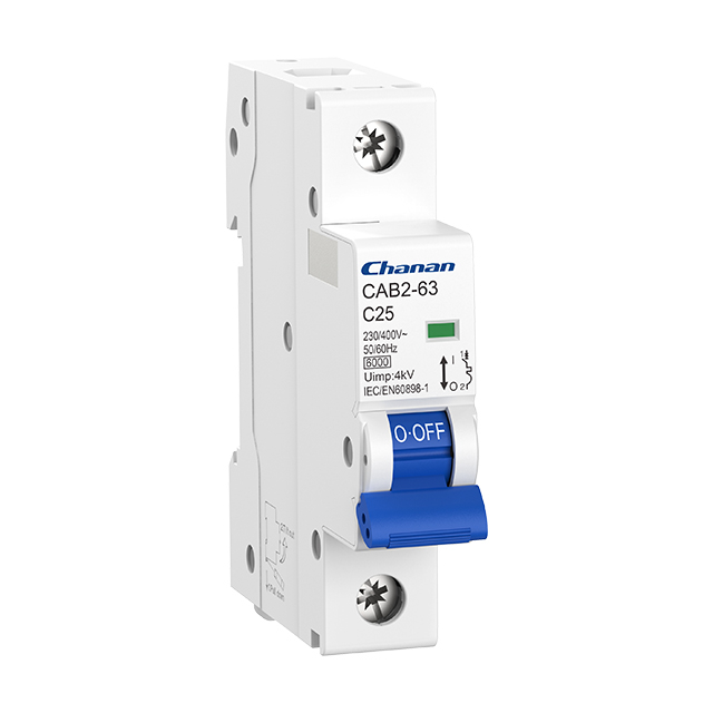 CAB2-63 6kA Miniature Circuit Breaker (MCB)