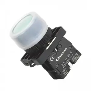 CB2 22mm Plastic and Metal Push Button Switch